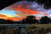colorful sunset behind trees